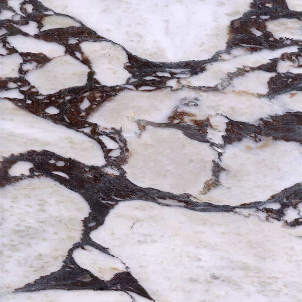Calacatta viola