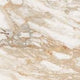 Calacatta Gold